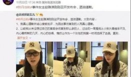 张细伦最新爆料新闻,揭秘娱乐圈惊人内幕