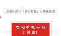 营销号最新爆料文案范文,爆款文案背后的秘密大公开！